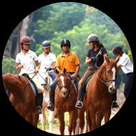 International Riding Schooly